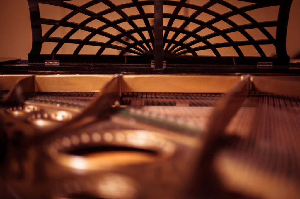 Das Repertoire an Unterhaltungsmusik der Dresdner SalonDamen